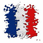 France Art Flag Design