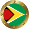 guyana flag icon
