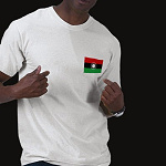Malawi Flag Map Basic T-Shirt
