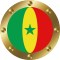 senegal flag icon