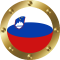 slovenia flag icon