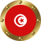 tunisia flag icon